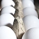 Trump’s Bird Flu Plan: Why Egg Prices Won’t Drop Soon?